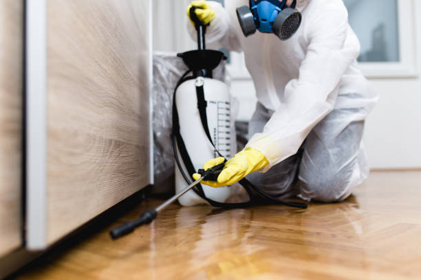 Best Pest Control Near Me  in Shil, OH