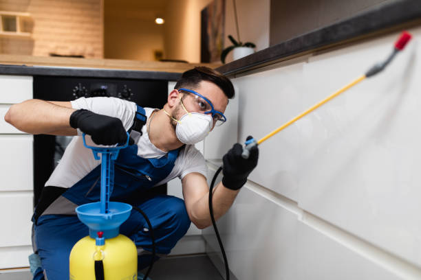 Best Pest Removal Services  in Shil, OH