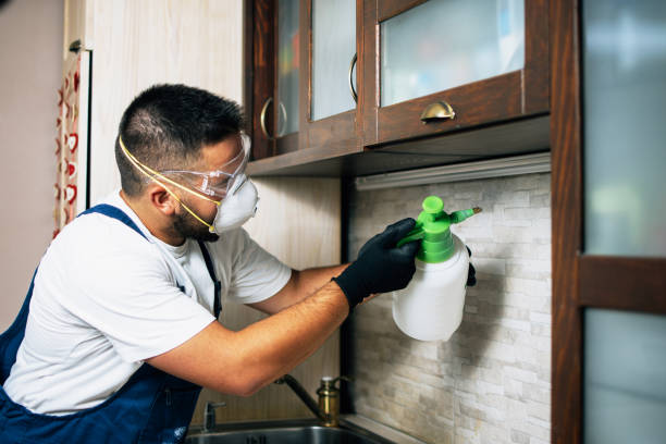 Best Bed Bug Extermination  in Shil, OH