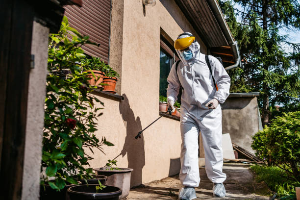 Wasp Removal Services in Shiloh, OH