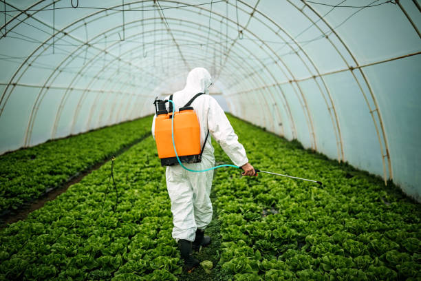 Best Local Pest Control Services  in Shil, OH