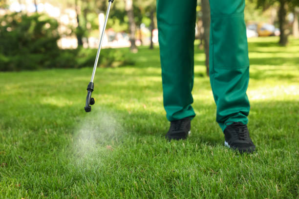 Best Affordable Pest Control Services  in Shil, OH