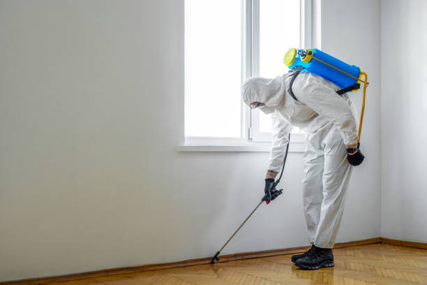 Best Pest Inspection Near Me  in Shil, OH