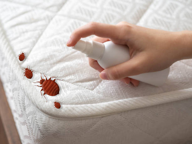 Professional Pest Control in Shiloh, OH